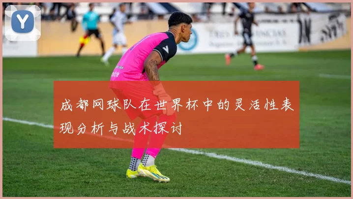 成都网球队在世界杯中的灵活性表现分析与战术探讨