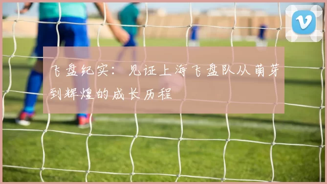 飞盘纪实：见证上海飞盘队从萌芽到辉煌的成长历程