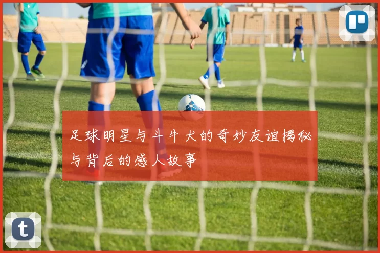 足球明星与斗牛犬的奇妙友谊揭秘与背后的感人故事