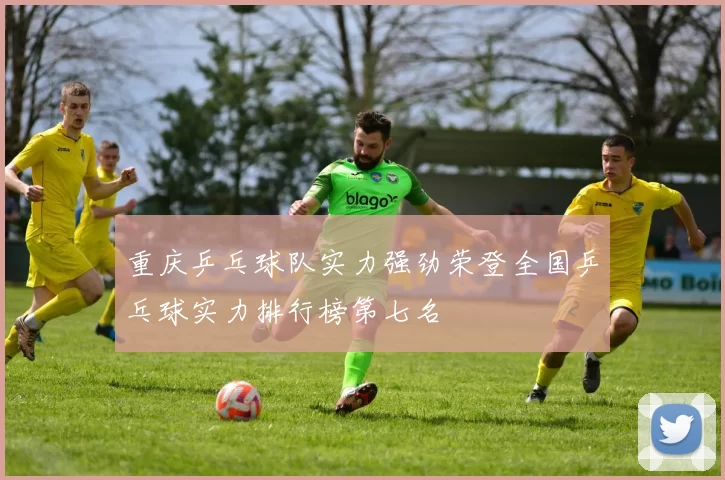 重庆乒乓球队实力强劲荣登全国乒乓球实力排行榜第七名