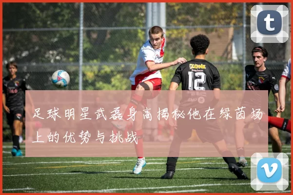 足球明星武磊身高揭秘他在绿茵场上的优势与挑战