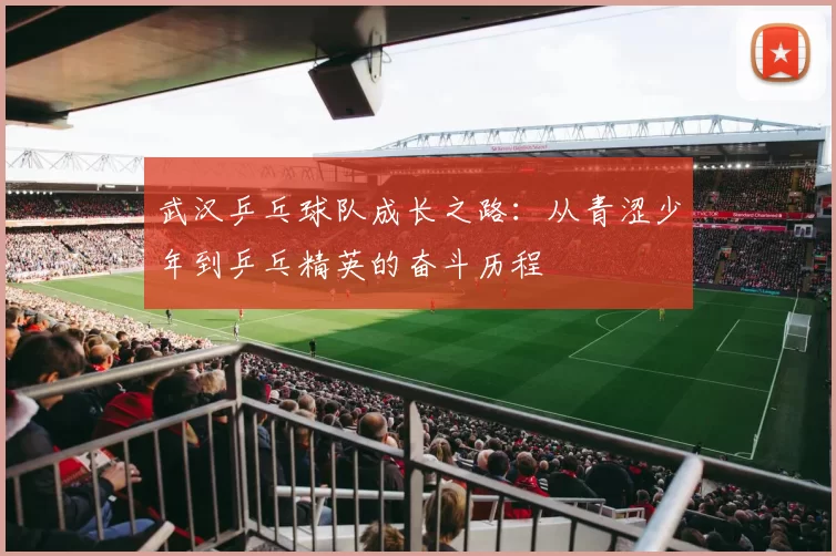 武汉乒乓球队成长之路：从青涩少年到乒乓精英的奋斗历程