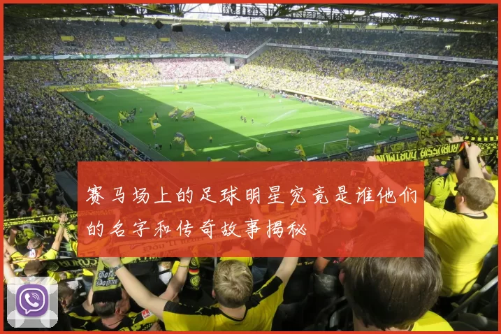 赛马场上的足球明星究竟是谁他们的名字和传奇故事揭秘