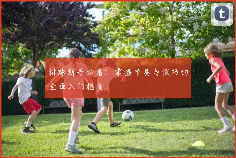 排球新手必看：掌握节奏与技巧的全面入门指南