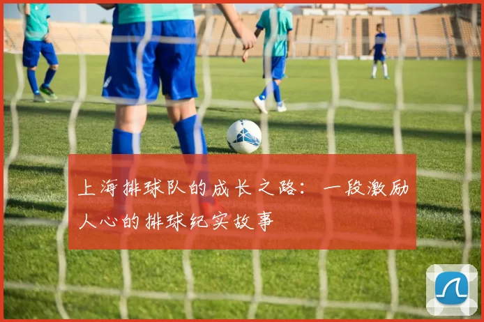 上海排球队的成长之路：一段激励人心的排球纪实故事