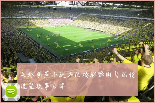 足球明星小迷弟的精彩瞬间与热情追星故事分享