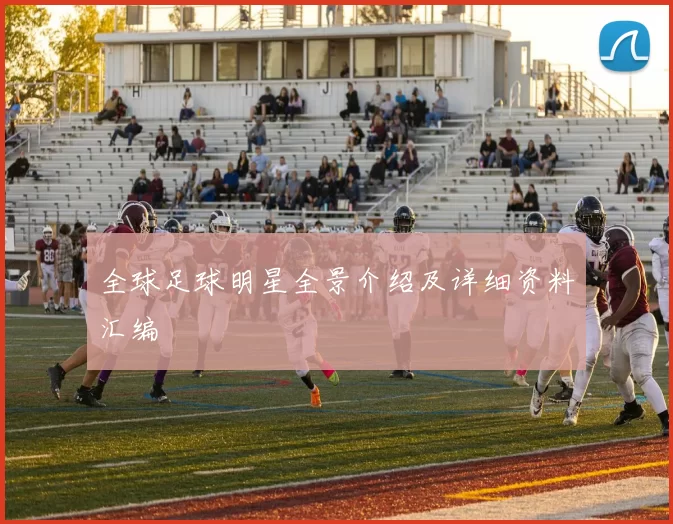 全球足球明星全景介绍及详细资料汇编