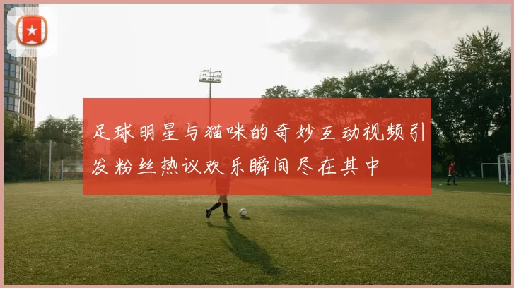 足球明星与猫咪的奇妙互动视频引发粉丝热议欢乐瞬间尽在其中