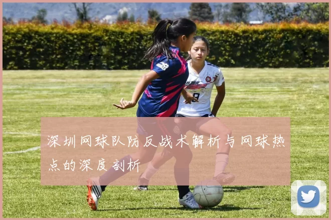深圳网球队防反战术解析与网球热点的深度剖析