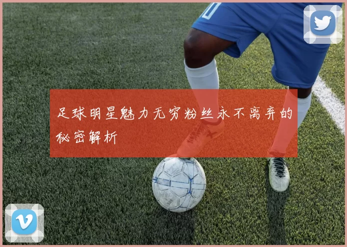 足球明星魅力无穷粉丝永不离弃的秘密解析