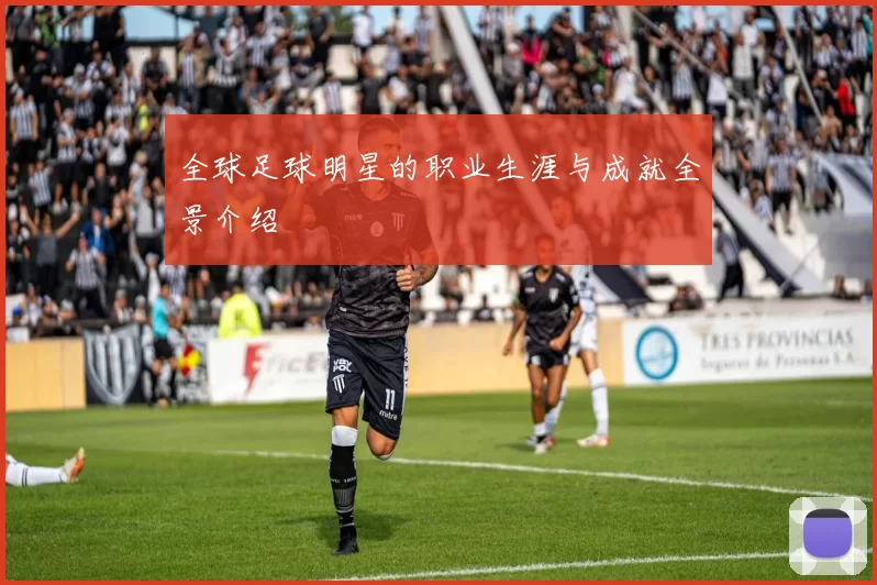 全球足球明星的职业生涯与成就全景介绍
