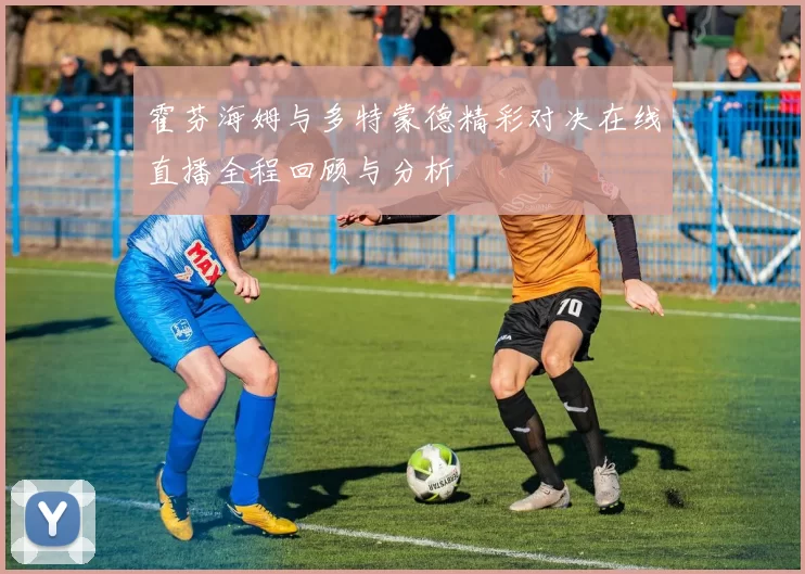 霍芬海姆与多特蒙德精彩对决在线直播全程回顾与分析
