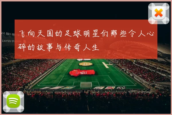 飞向天国的足球明星们那些令人心碎的故事与传奇人生