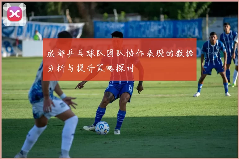 成都乒乓球队团队协作表现的数据分析与提升策略探讨