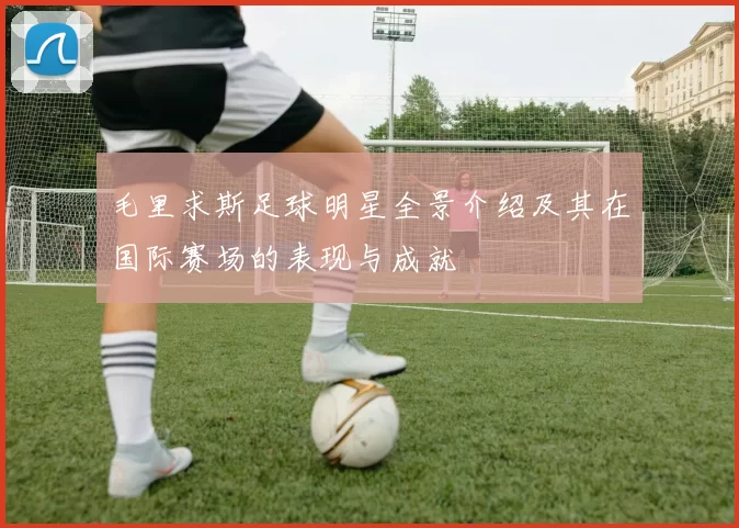 毛里求斯足球明星全景介绍及其在国际赛场的表现与成就