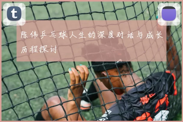 陈伟乒乓球人生的深度对话与成长历程探讨