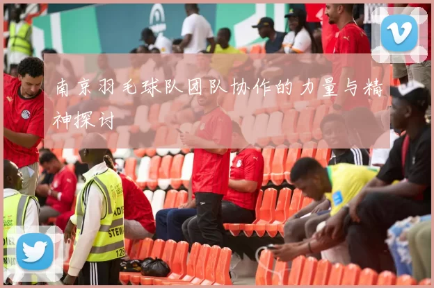 南京羽毛球队团队协作的力量与精神探讨