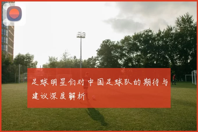 足球明星们对中国足球队的期待与建议深度解析