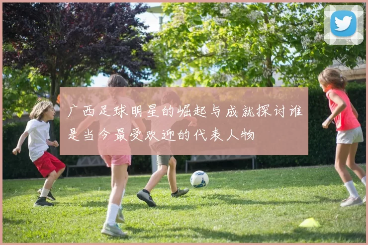广西足球明星的崛起与成就探讨谁是当今最受欢迎的代表人物