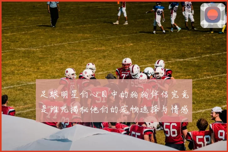 足球明星们心目中的狗狗伴侣究竟是谁呢揭秘他们的宠物选择与情感纽带