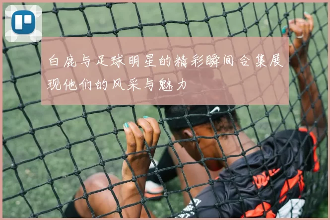白鹿与足球明星的精彩瞬间合集展现他们的风采与魅力