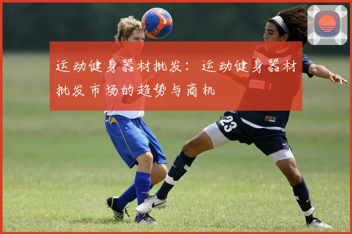 运动健身器材批发：运动健身器材批发市场的趋势与商机