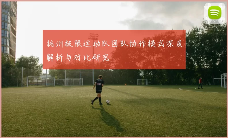 杭州极限运动队团队协作模式深度解析与对比研究
