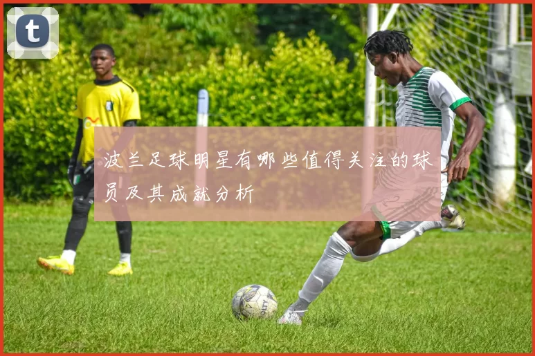 波兰足球明星有哪些值得关注的球员及其成就分析
