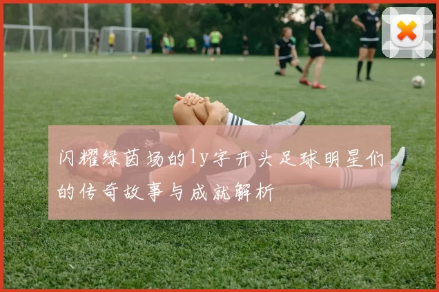 闪耀绿茵场的ly字开头足球明星们的传奇故事与成就解析