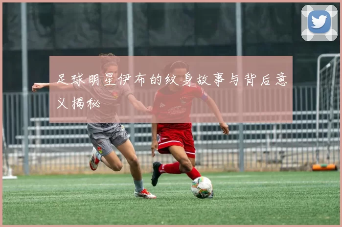 足球明星伊布的纹身故事与背后意义揭秘