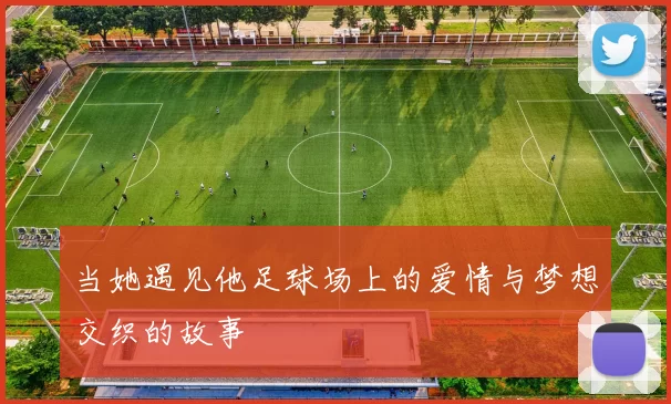 当她遇见他足球场上的爱情与梦想交织的故事