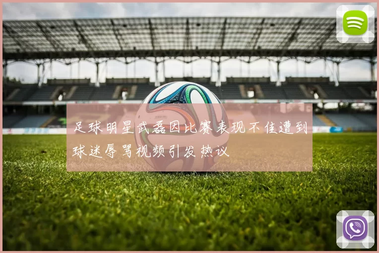 足球明星武磊因比赛表现不佳遭到球迷辱骂视频引发热议
