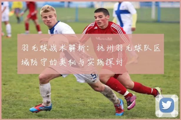 羽毛球战术解析：杭州羽毛球队区域防守的奥秘与实践探讨