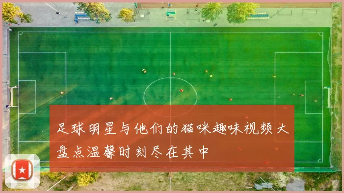 足球明星与他们的猫咪趣味视频大盘点温馨时刻尽在其中