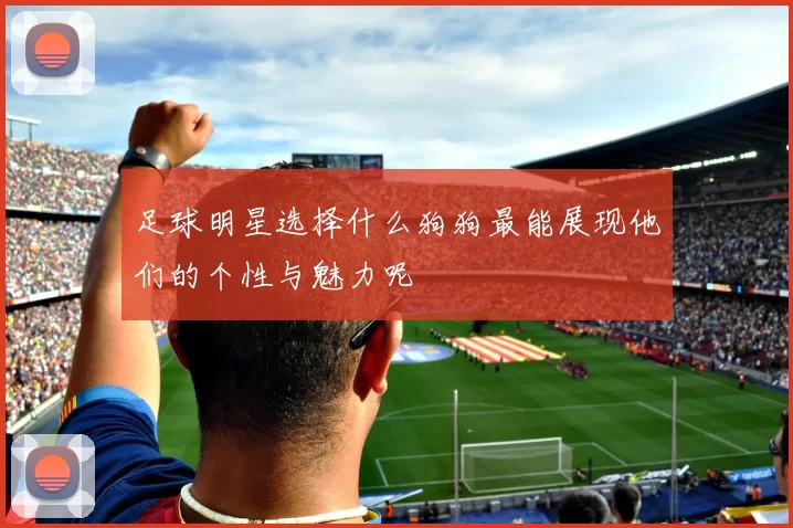 足球明星选择什么狗狗最能展现他们的个性与魅力呢